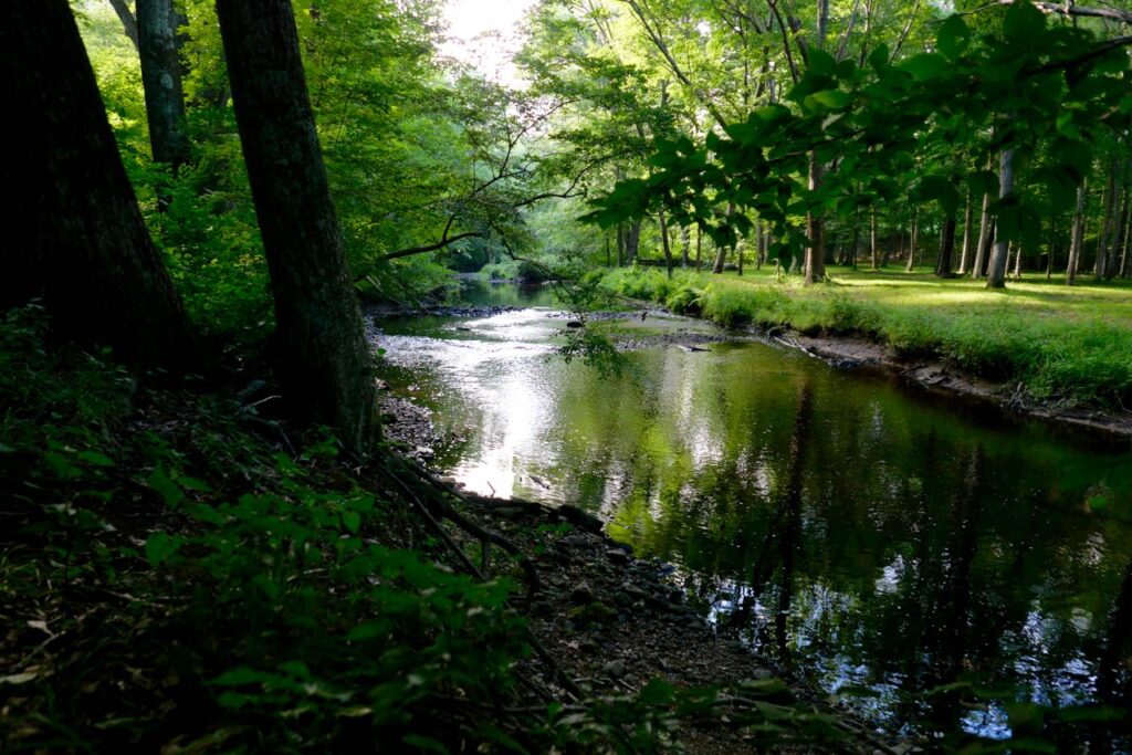 Hammonasset River Corridor